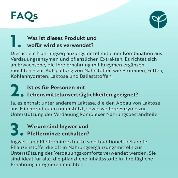 Nutravita Verdauungsenzyme mit Ingwer und Pfefferminze