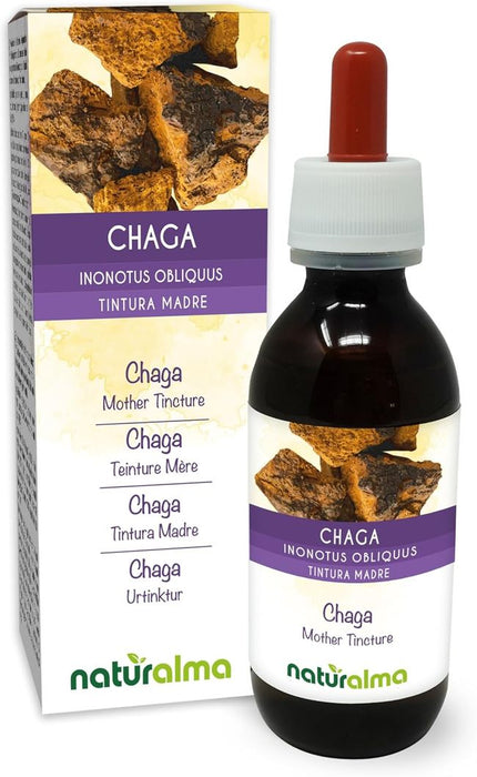 Naturalma Chaga Inonotus obliquus  Flüssig Extrakt