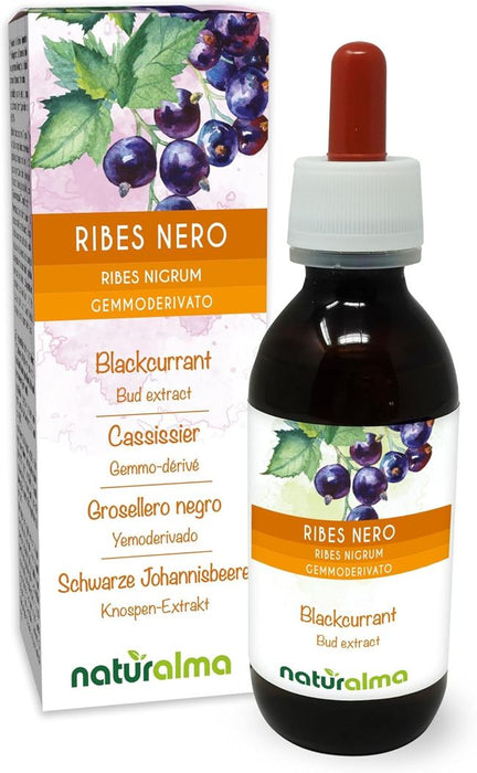Naturalma Schwarze Johannisbeere Ribes nigrum Flüssig