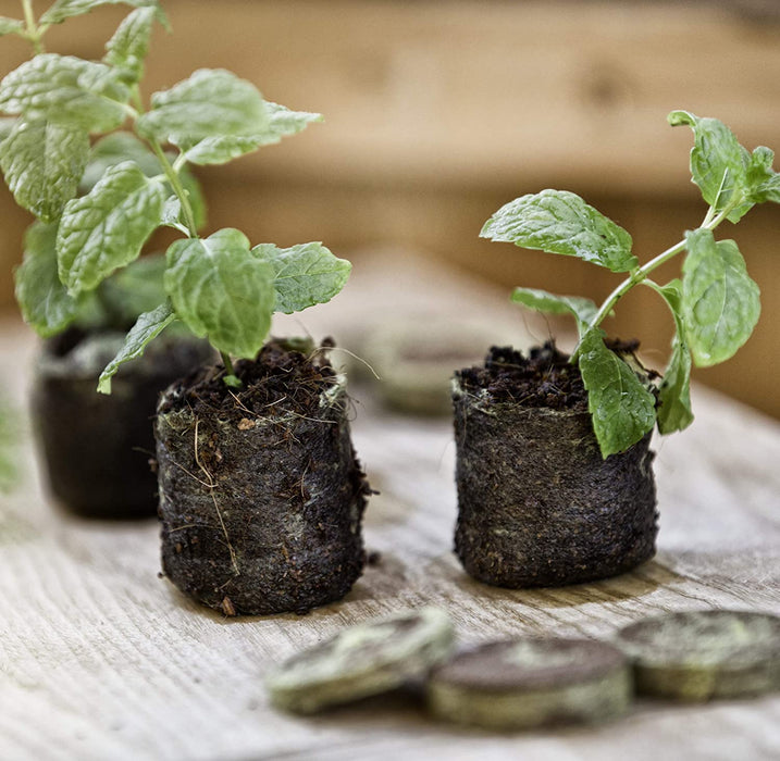 Anzuchtquelltabs, Quelltabs, Kokos-Quelltabletten zur Anzucht von Stecklingen, Aussaaterde, Kokoserde gepresst, torffrei, 50 Stück, 3,5 cm