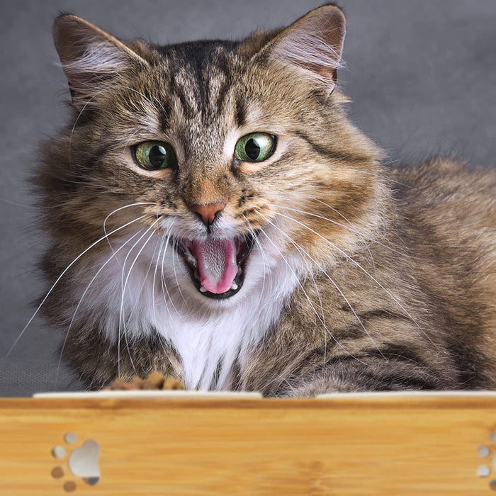 3er Napfständer Bambus, Keramikschalen Wasser & Futter, spülmaschinenfest, Napfbar Katzen, kleine Hunde, natur, L