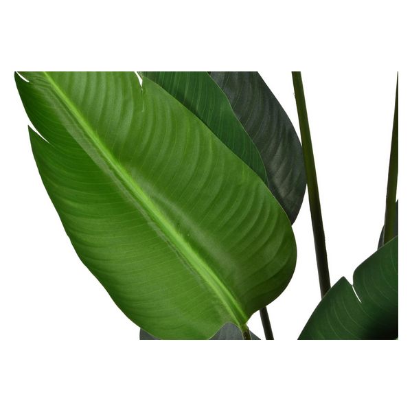 Dekorationspflanze Dekodonia PVC (95 x 155 cm)