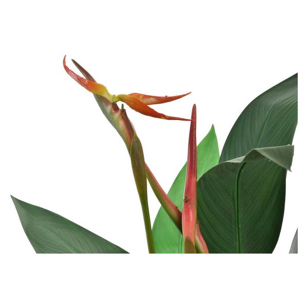 Dekorationspflanze Dekodonia PVC (95 x 150 cm)