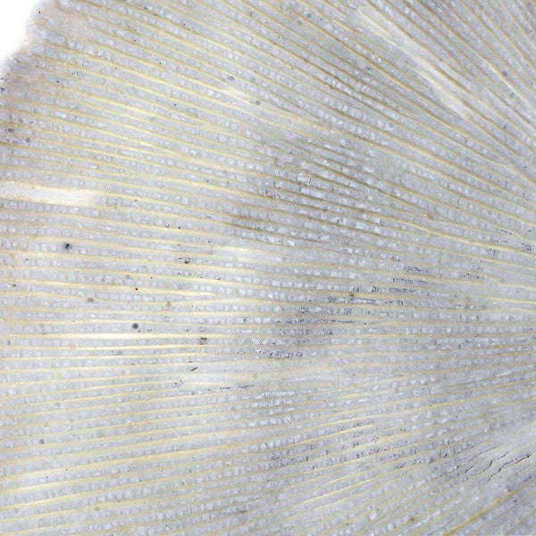 Wanddekoration Dekodonia Harz Orientalisch