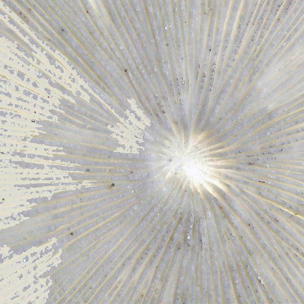 Wanddekoration Dekodonia Harz Orientalisch