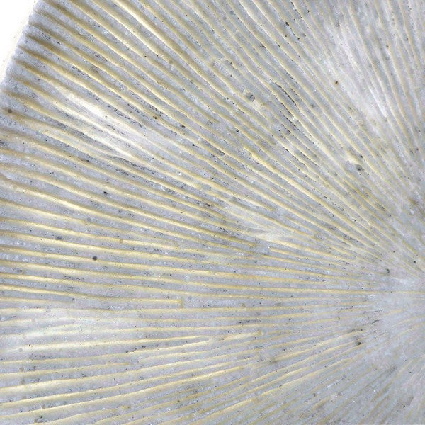 Wanddekoration Dekodonia Harz Orientalisch (33 x 6 x 33 cm)