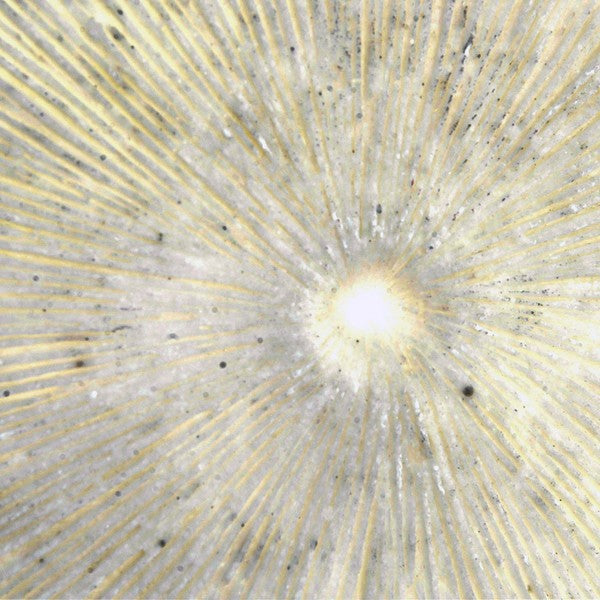 Wanddekoration Dekodonia Harz Orientalisch (33 x 6 x 33 cm)