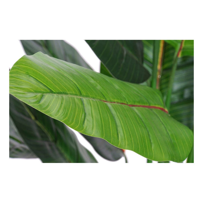 Dekorationspflanze DKD Home Decor grün PVC (70 x 70 x 120 cm)