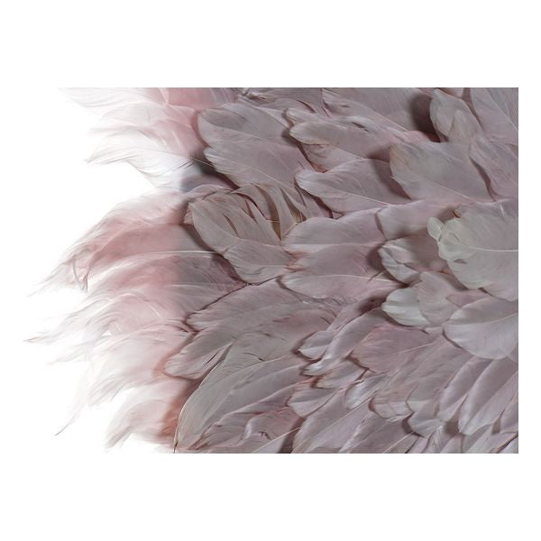 Wanddekoration Dekodonia Feder Kolonial Muscheln