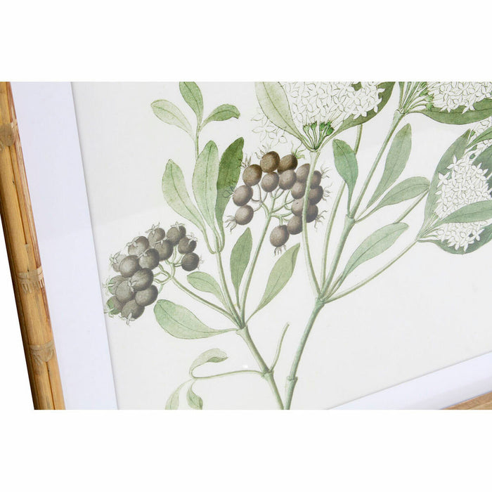 Bild DKD Home Decor Botanische Pflanzen (50 x 2.8 x 50 cm) (6 pcs)