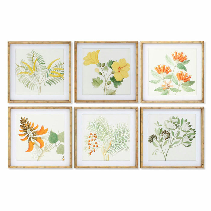 Bild DKD Home Decor Botanische Pflanzen (50 x 2.8 x 50 cm) (6 pcs)