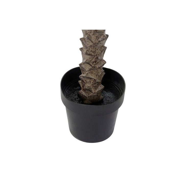 Baum DKD Home Decor Polyester PP Palme (100 x 100 x 230 cm)