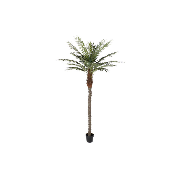 Baum DKD Home Decor Polyester PP Palme (100 x 100 x 230 cm)