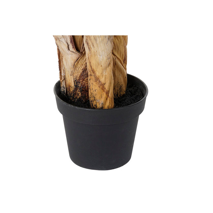 Baum DKD Home Decor Polyester PP Palme (90 x 90 x 190 cm)