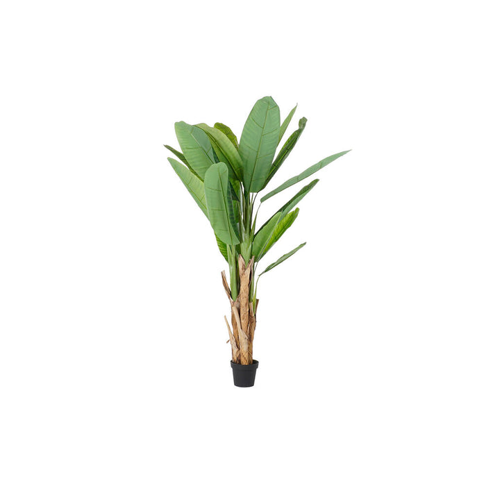 Baum DKD Home Decor Polyester PP Palme (90 x 90 x 190 cm)