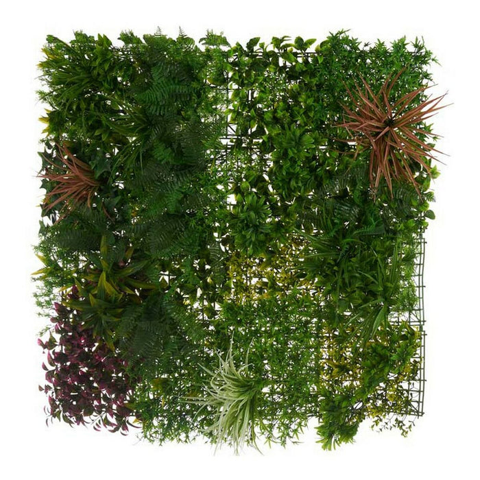 Set für vertikalen Garten Tropical Kunststoff (100 x 14 x 100 cm)