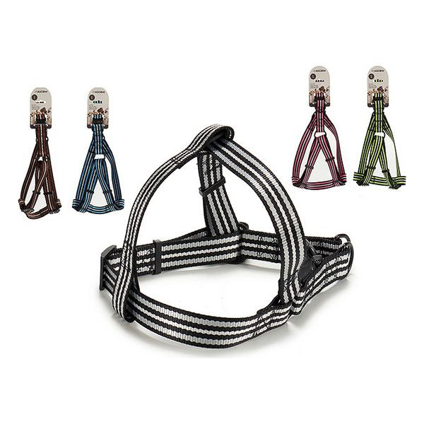 Umschnallset für Beginner