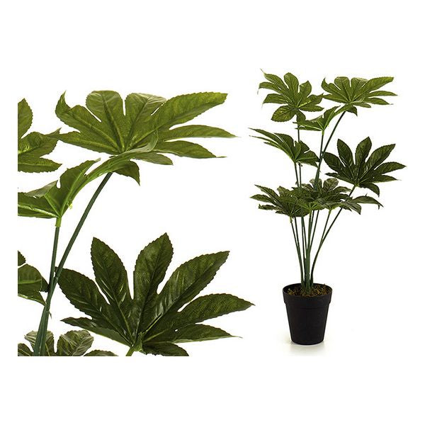 Dekorationspflanze Ibergarden (30 x 60 x 30 cm)