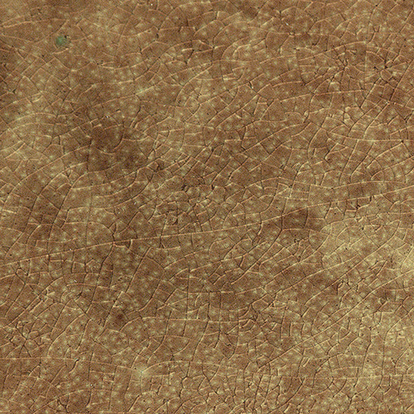 Flad plade Steingut (26,5 x 26,5 x 2 cm) Teller