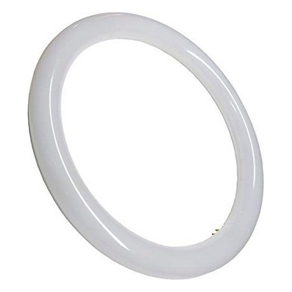 LED Röhre G10 kreisförmig 6500K (30cm) (Refurbished A+)