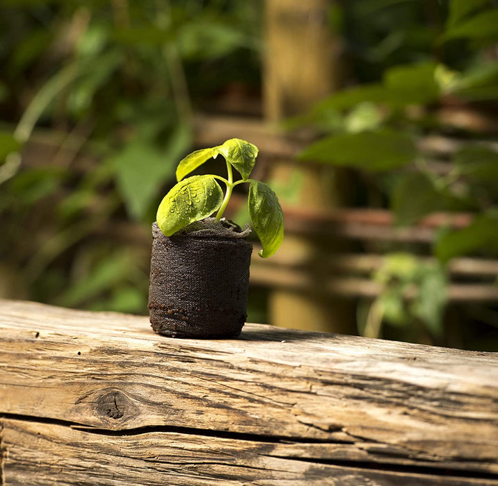 Anzuchtquelltabs, Quelltabs, Kokos-Quelltabletten zur Anzucht von Stecklingen, Aussaaterde, Kokoserde gepresst, torffrei, 50 Stück, 3,5 cm