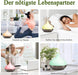 Aroma Diffuser, 300ml Ultraschall Luftbefeuchter mit 8  10ml Ätherische Öle Set, Diffuser Ätherische Öle, 14-Farben-LED, 23dB Cool Mist Raumbefeuchter