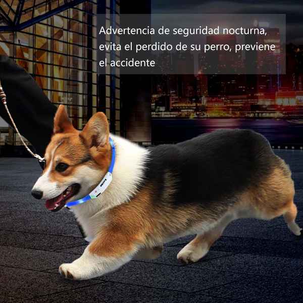 Halsband zum Spazierengehen LED Zacro Brillant Hund (2 pcs) (Refurbished A+)