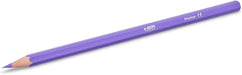 BIC Kids Buntstifte Tropicolors, zum Malen in 24 Farben, im Karton Etui, ab 5 Jahre, Bruchsichere Mine und ohne Holz