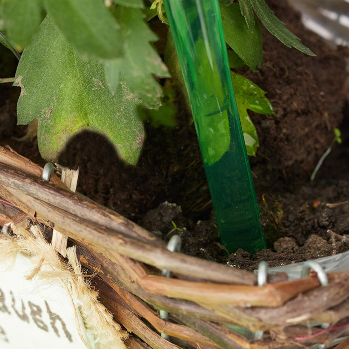 Bewässerungskugeln, 4er Set, Dosierte Bewässerung, 2 Wochen, Versenkbar, Topfpflanzen, Deko, Kunststoff, Grün, PVC, Standard