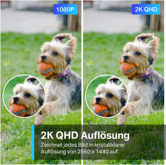 C320WS Überwachungskamera Außen, WLAN IP Kamera, 4MP Hochauflösung, 30m Vollfarb-Nachtsicht, Bewegungserkennung, IP66 wasserdicht