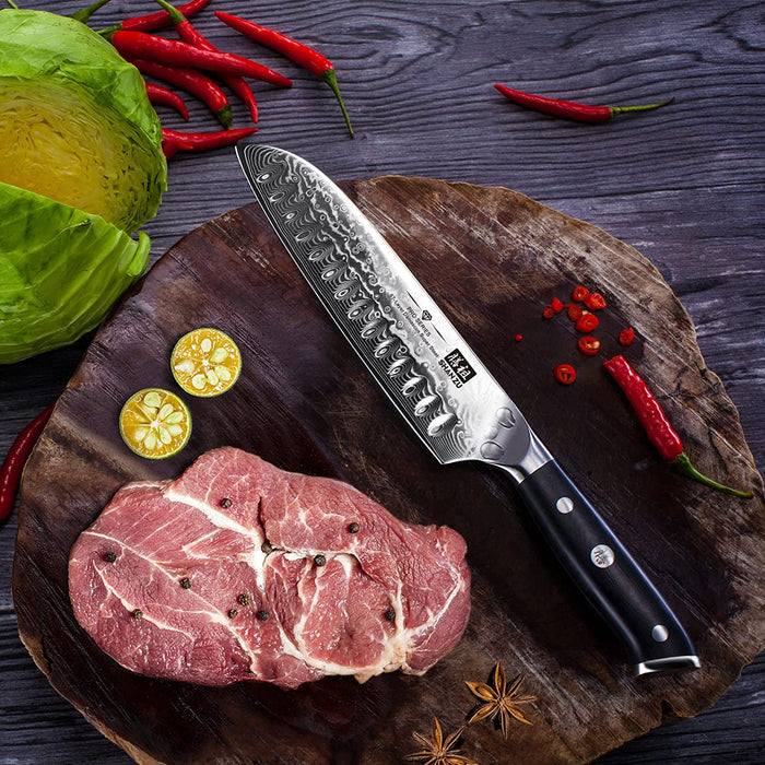 Damast Santokumesser Kochmesser 67 Schichten Damastmesser Messer mit G10 Griff - PRO Series