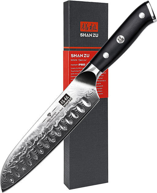 Damast Santokumesser Kochmesser 67 Schichten Damastmesser Messer mit G10 Griff - PRO Series