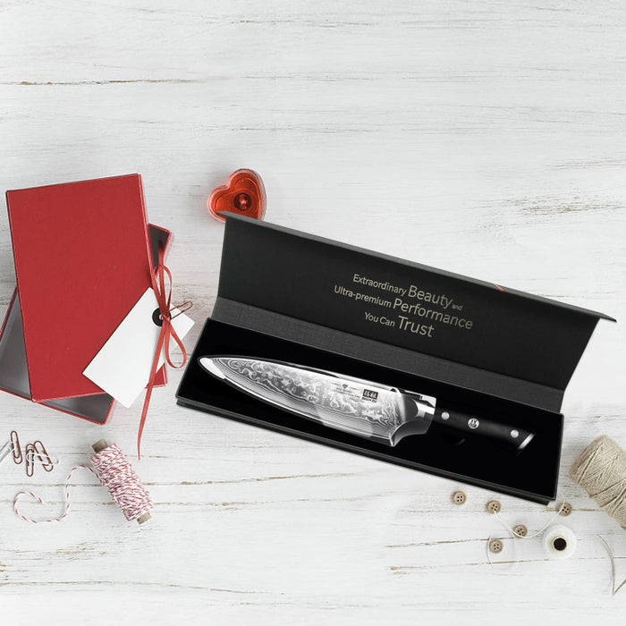 Damastmesser Kochmesser 67 Schichten Damaststahl Küchenmesser mit G10 Griff 20CM - PRO Series