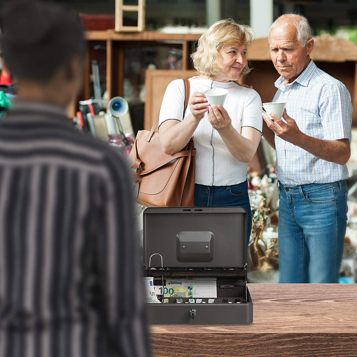 Geldkassette abschließbar, Münzeinsatz, 4 Scheinfächer, Geldkasse Eisen, Kasse HBT 8,5 x 30,5 x 24,5 cm, grau