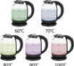 Glas Wasserkocher mit Temperaturwahl (60°C/70°C/80°C/90°C/100°C), BPA-frei, Trockengehschutz, Auto-Off, 2200 Watt, Edelstahl, 1.7 liters