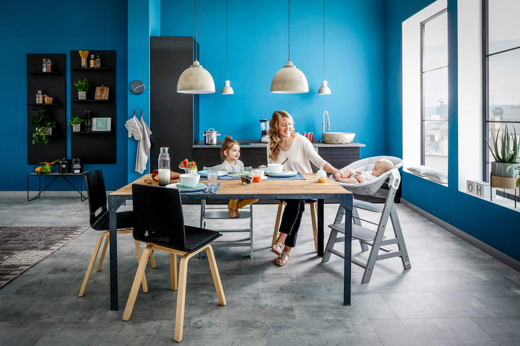 Hauck Babywippe Alpha Bouncer 2in1 kompatibel mit Hauck Hochstuhl Alpha+ und Beta+, Baby Wippe für Neugeborene ab Geburt bis 9 kg, mit Teddy Einlage