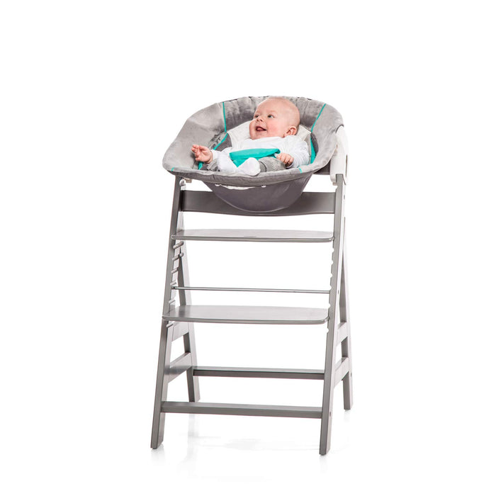 Hauck Babywippe Alpha Bouncer 2in1 kompatibel mit Hauck Hochstuhl Alpha+ und Beta+, Baby Wippe für Neugeborene ab Geburt bis 9 kg, mit Teddy Einlage