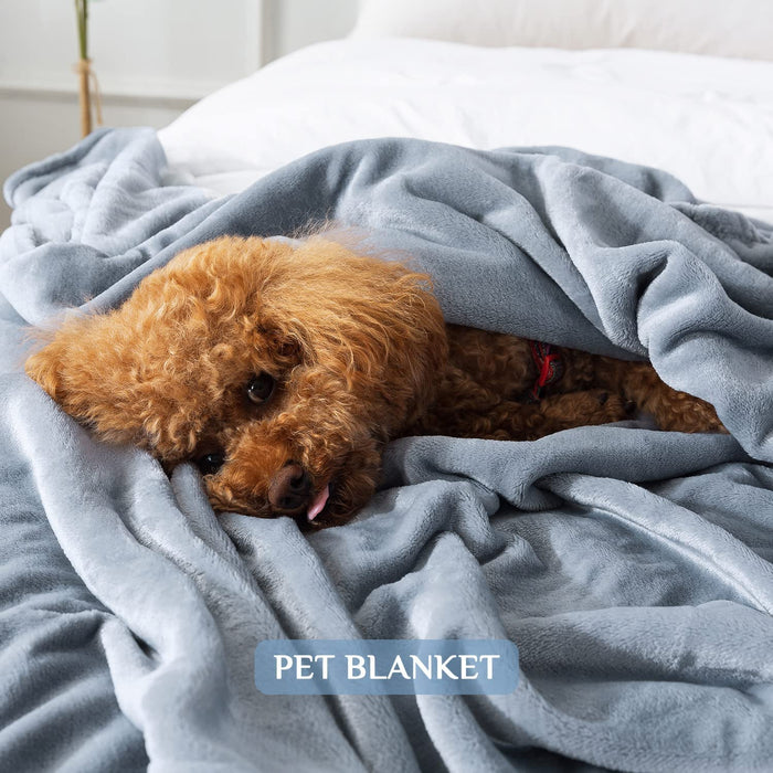 Kuscheldecke Flauschig Weich und Warme Fleecedecke für Bett Couch, Decke Flanelldecke als Sofadecke Wohndecke oder Tagesdecke, 150 x 200 cm Hellgrau