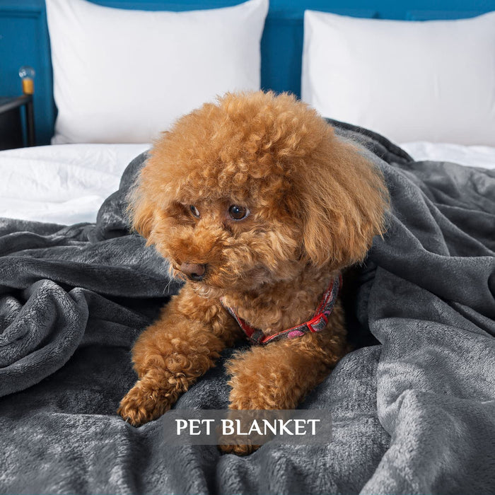 Kuscheldecke Sofa Decken Dunkelgrau, Groß Decke Falten Beständig Fleecedecke für Couch Home, Weich und Warme Wohndecke Flauschig 150 x 200 cm 