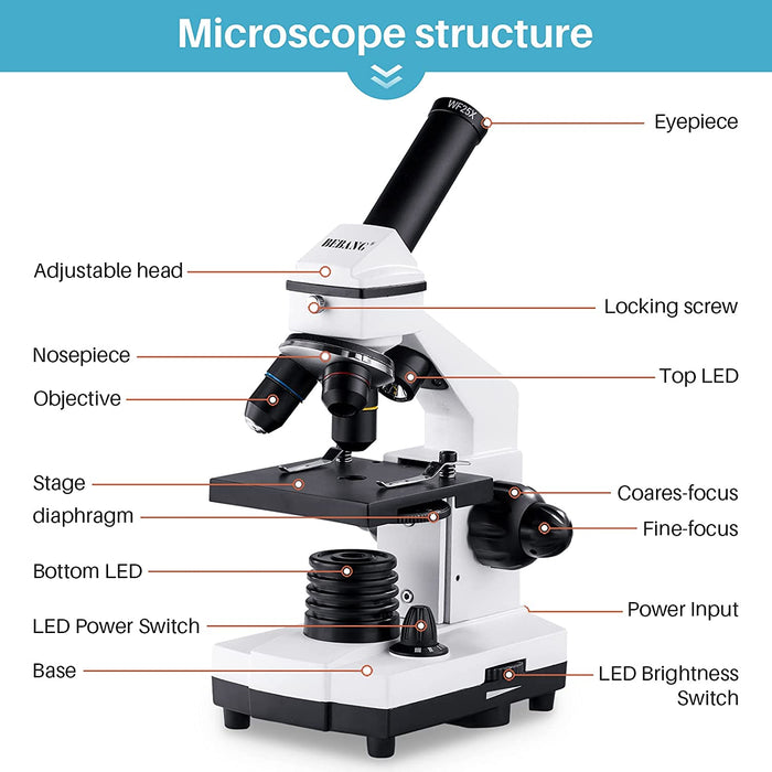 Mikroskop 100X-2000X für Kinder Studenten Erwachsene, mit Objektträger Set, Professionelle Mikroskope für Schullabor Zuhause Biologische Bildung