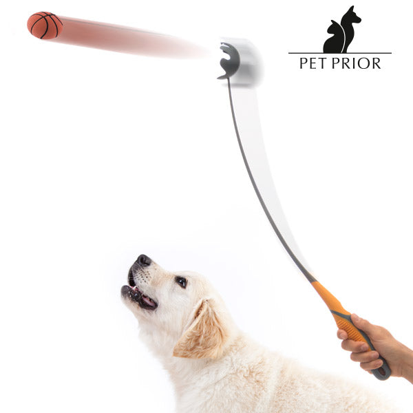 Pet Prior Premium Ballwurfmaschine für Hunde