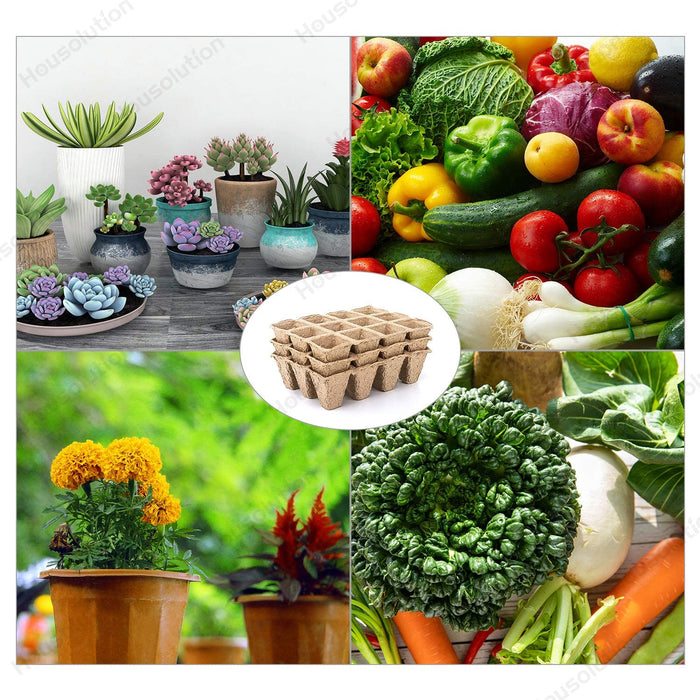 Quadratisch Anzuchttöpfe 10 Stück 12 Gitter Biologisch Abbaubar Vierecktopf Umweltfreundlich Pflanzentopf Wachstumstöpfe Blumen Töpfe 120 Zellen Pack