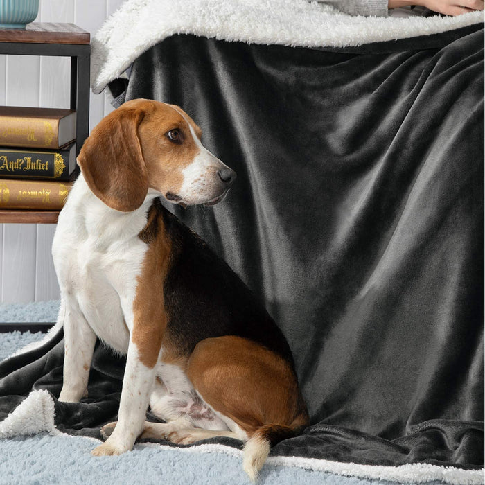 Decke Sofa Kuscheldecke anthrazit - warm Sherpa Sofaüberwurf Decke, Dicke Sofadecke Couchdecke, 150x200 cm XL Flauschige Wohndecke für Couch