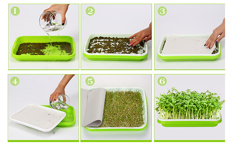 Seed Sprouter Tray Keimschale Sprossen, Keimschalen für Sprossen Seed Sprouter Tray BPA-freies mit 4-schichtigem Kunststoffregal Soil-Free Keimkiste