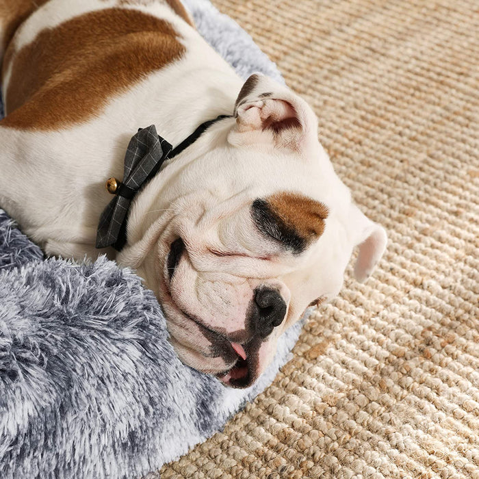 Hundebett, Katzenbett, weicher Plüsch, 80 cm, grau