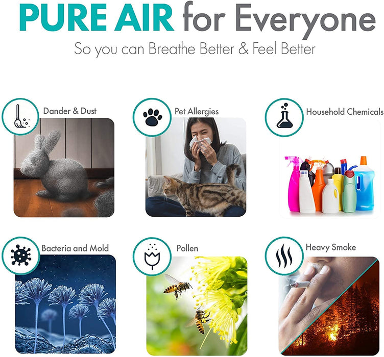 BreatheSmart Flex H13 True HEPA Luftreiniger für Zuhause bis zu 65 m², Frischfilter entfernt 99,99% Luftpartikel, fängt Allergene, Schimmel, Rauch...