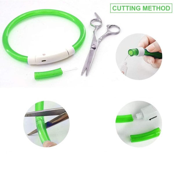 Halsband SapoinTree Hund LED (75 cm) (Refurbished A+)