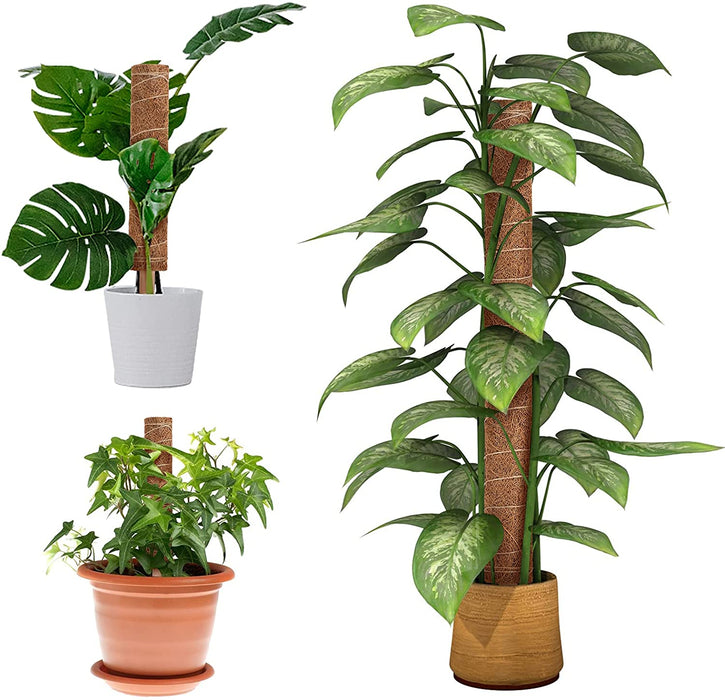 Pflanzenstütze Pflanzenstab Moosstab Monstera Ppflanze Kokosstab Rankhilfe Zimmerpflanzen Pflanzstab Kokos