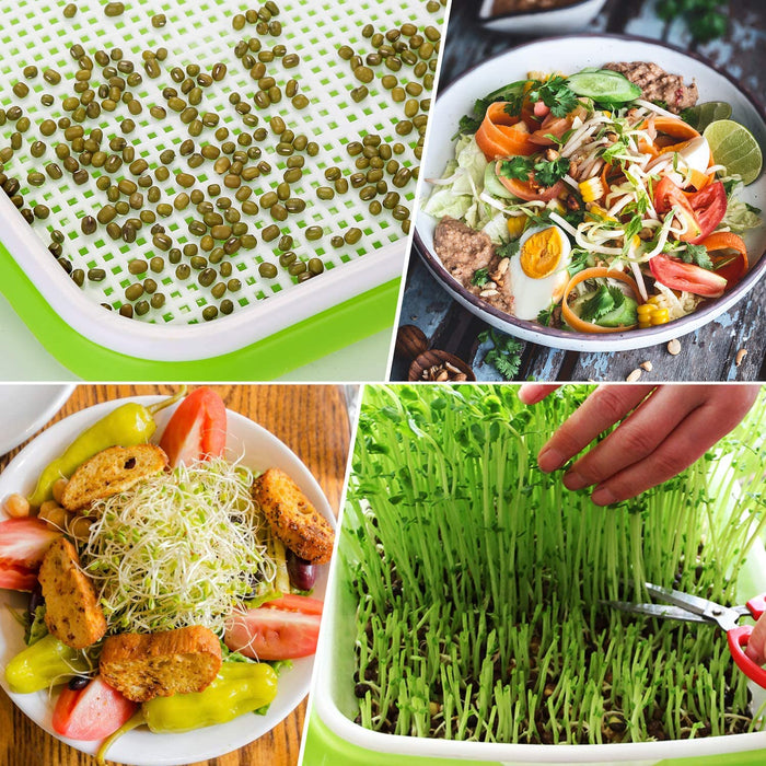 Seed Sprouter Tray Keimschale Sprossen, Keimschalen für Sprossen Seed Sprouter Tray BPA-freies mit 4-schichtigem Kunststoffregal Soil-Free Keimkiste