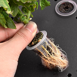 Hydroponisches Anzuchtsystem, 12Hülsen Smart Garden, 23W LED Pflanzenlampe mit Automatisch Timer, Höhenverstellbar Indoor Kräutergarten Kit, Schwarz